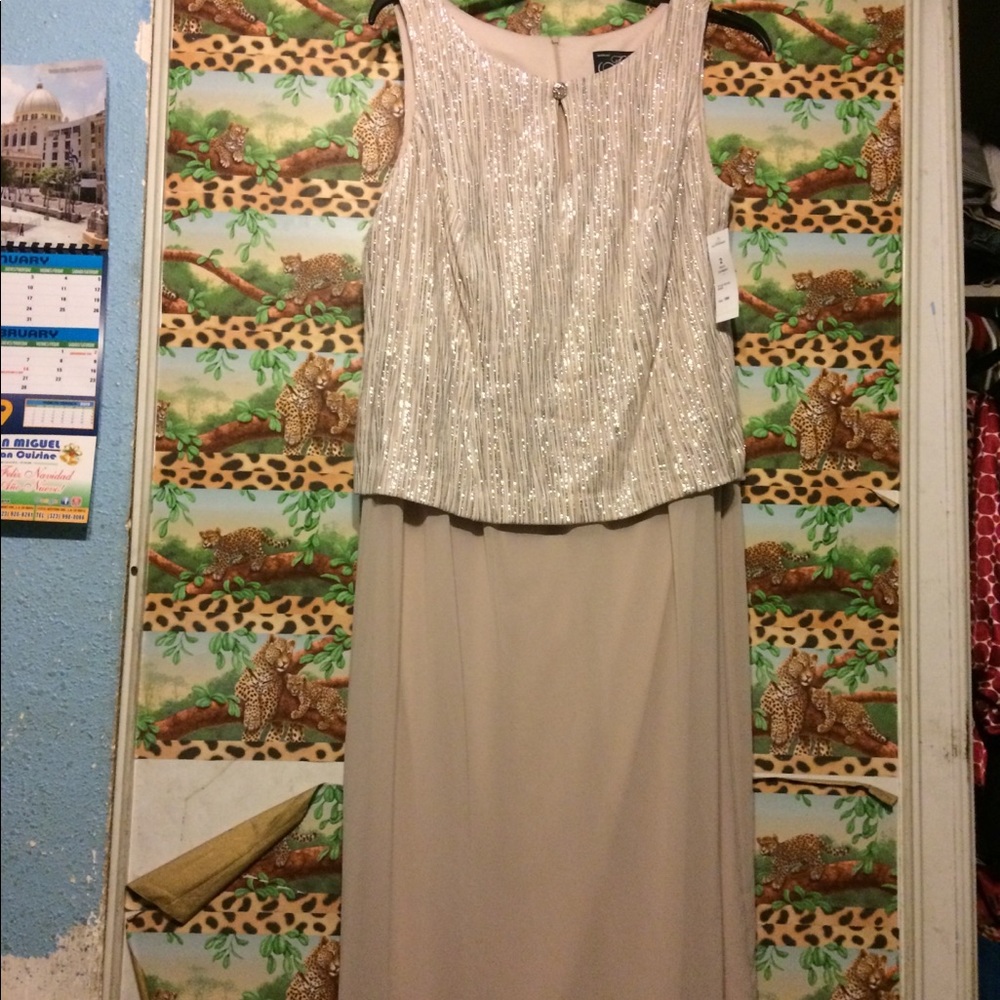 Long new Alex Evening dress